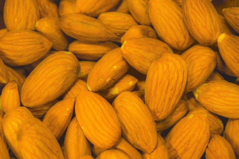 Exploring the Common Types of Magnesium Supplements: Benefits, Uses, and Choosing the Right One