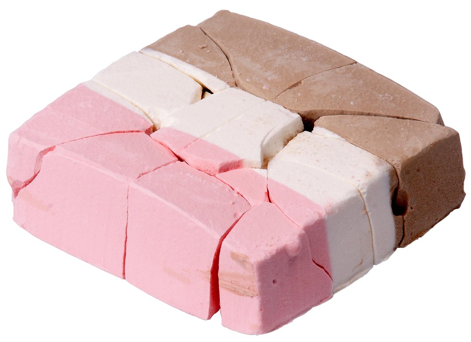 Exploring the Common Types of Freeze-Dried Dog Food: A Comprehensive Guide for Pet Owners