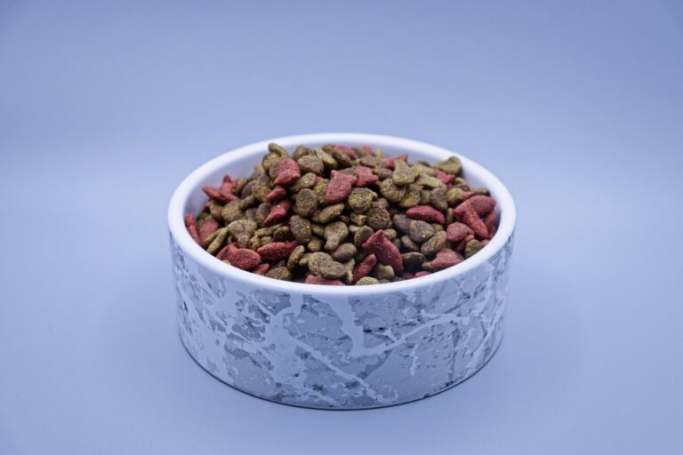 Understanding the Common Types of Dry Cat Food: A Guide for Pet Owners