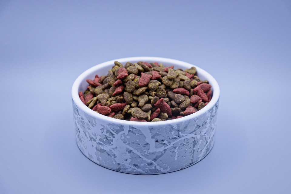 Understanding the Common Types of Dry Cat Food: A Guide for Pet Owners