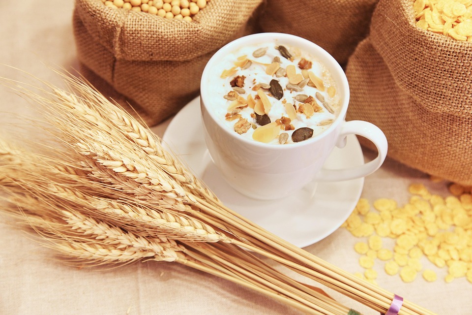 Understanding the Common Types of Grain-Free Dog Food: What Every Pet Owner Should Know