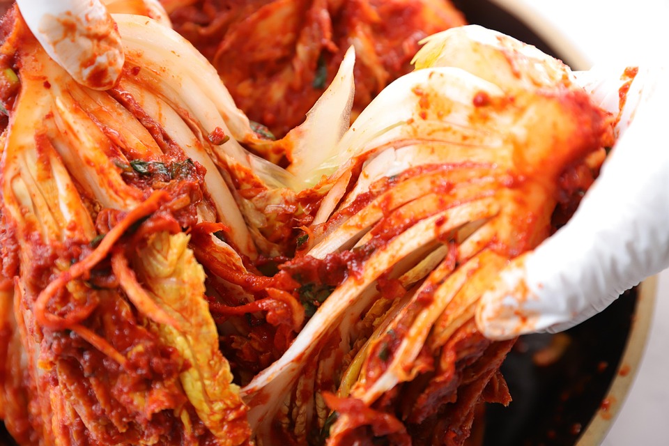 Exploring the Popular Types of Probiotics: What You Need to Know Before Choosing