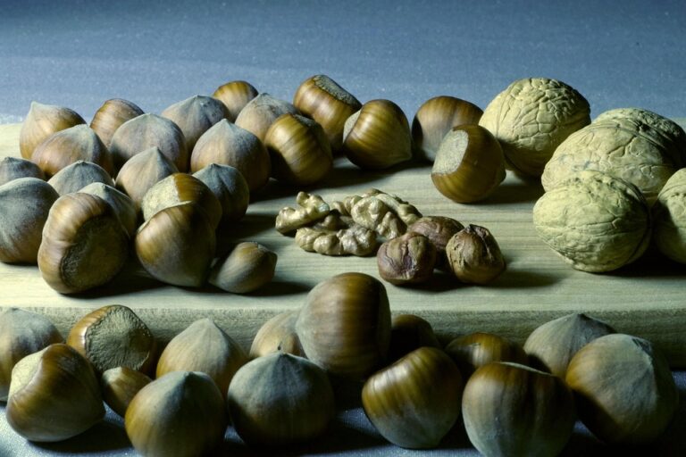 Understanding Magnesium Supplements: Common Types and Their Benefits for Your Health