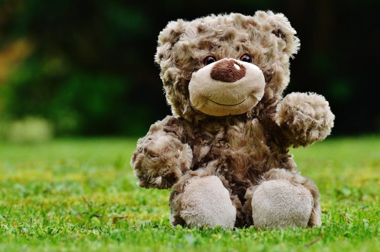 Exploring the Evolution of Plush Toys: A Journey Through History and Design