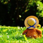 The Evolution of Teddy Bears: A Journey Through History and Trends