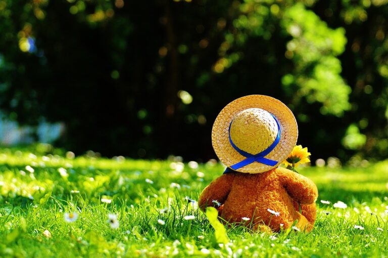 The Evolution of Teddy Bears: A Journey Through History and Trends
