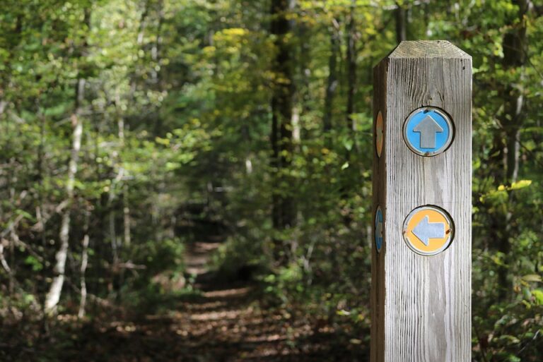 The Ultimate Guide to Common Marker Types: Features, Uses, and Choosing the Right One