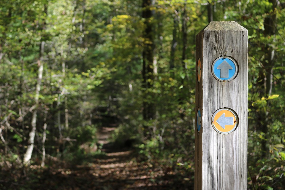 The Ultimate Guide to Common Marker Types: Features, Uses, and Choosing the Right One