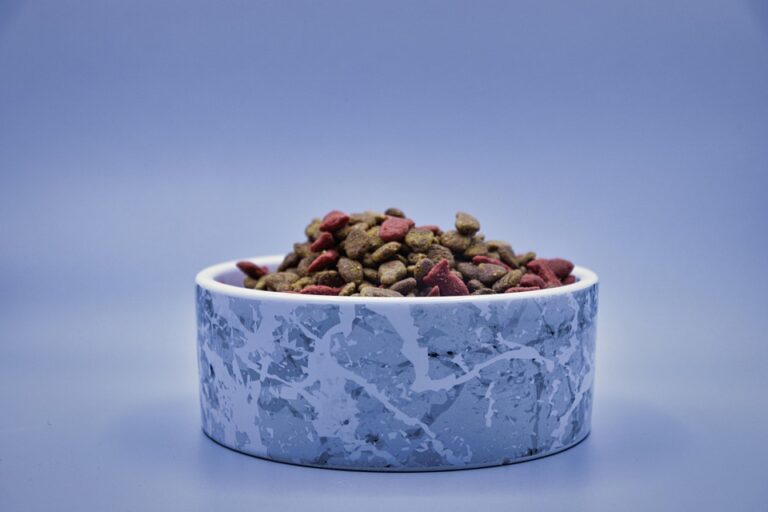Choosing the Right Dry Cat Food: Essential Tips and Common Pitfalls