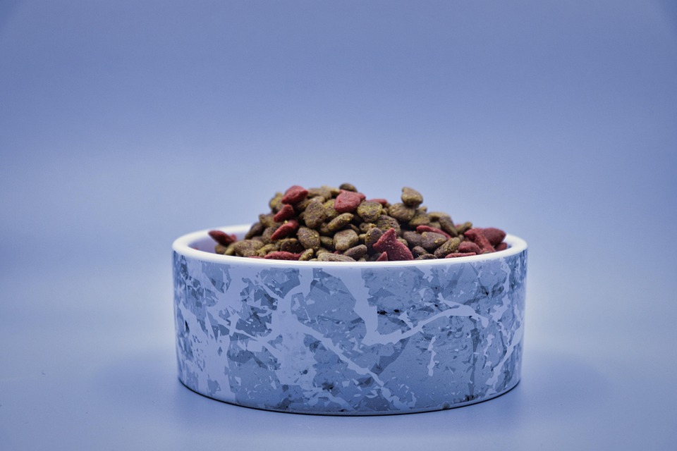 Choosing the Right Dry Cat Food: Essential Tips and Common Pitfalls