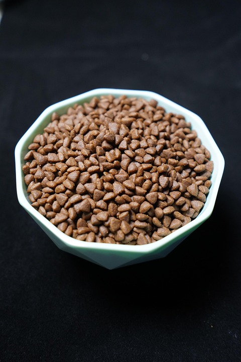 Understanding Common Types of Dry Dog Food: A Comprehensive Guide for Pet Owners
