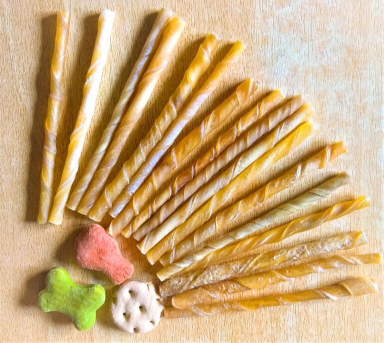 Exploring the Common Types of Grain-Free Dog Food: A Guide for Pet Owners