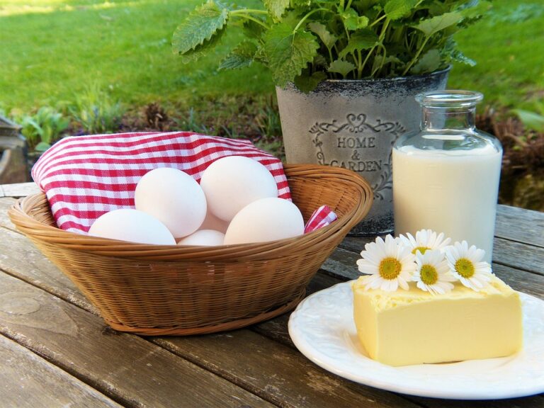 Essential Guide to Calcium Tablets: Common Brands and Their Benefits