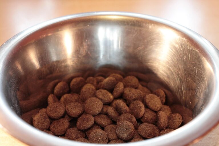Choosing the Right Grain-Free Dog Food: Essential Tips and Common Pitfalls