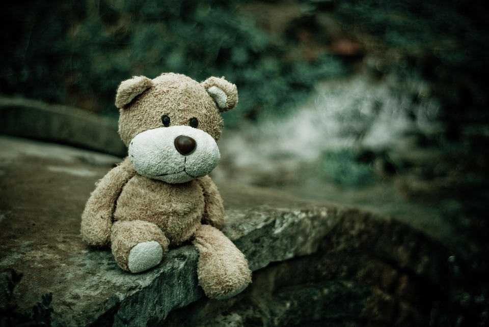 The Evolution of Plush Toys: A Journey Through History and Trends