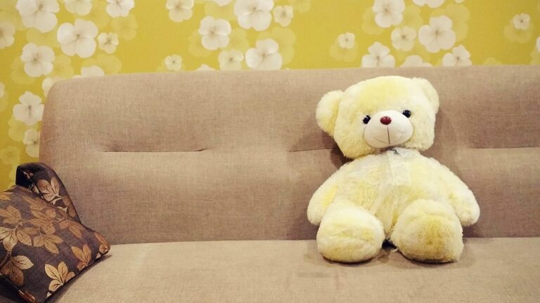 Exploring the Evolution of Plush Toys: A Historical Journey Through Their Development and Popularity