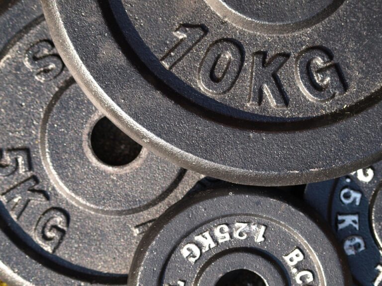 Exploring the Common Types of Weight Plates: A Comprehensive Guide for Fitness Enthusiasts