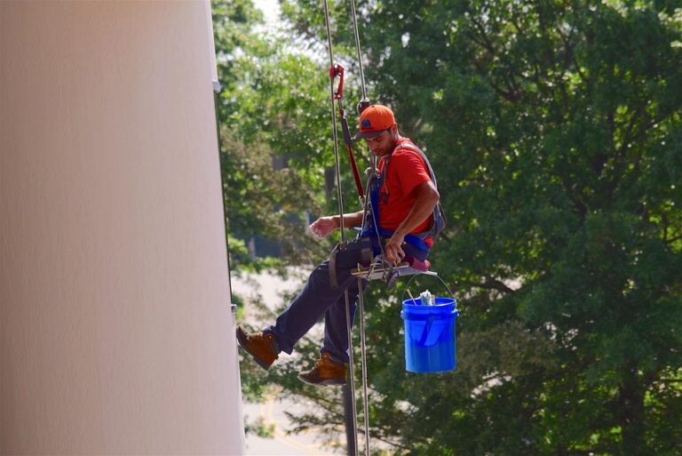 Essential Guide to Choosing the Right Window Cleaner: Tips and Insights for Every Homeowner