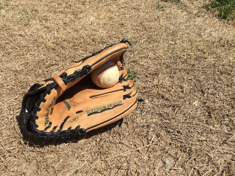 Choosing the Right Dusting Mitts: A Comprehensive Guide to Types, Brands, and Buying Tips