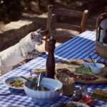 Understanding the Common Types of Grain-Free Cat Food: A Comprehensive Guide for Pet Owners
