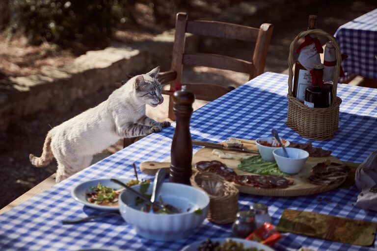 Understanding the Common Types of Grain-Free Cat Food: A Comprehensive Guide for Pet Owners