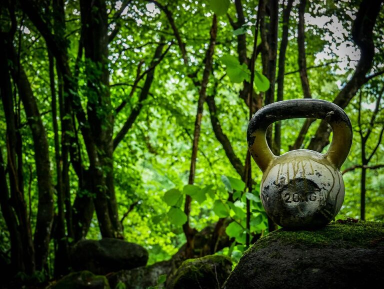 Exploring the Common Types of Kettlebells: A Comprehensive Guide for Fitness Enthusiasts