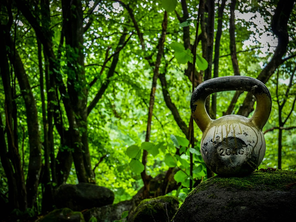 Exploring the Common Types of Kettlebells: A Comprehensive Guide for Fitness Enthusiasts