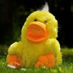 The Evolution of Stuffed Animals: From Classic Teddy Bears to Modern Collectibles