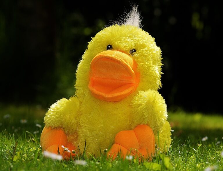 The Evolution of Stuffed Animals: From Classic Teddy Bears to Modern Collectibles