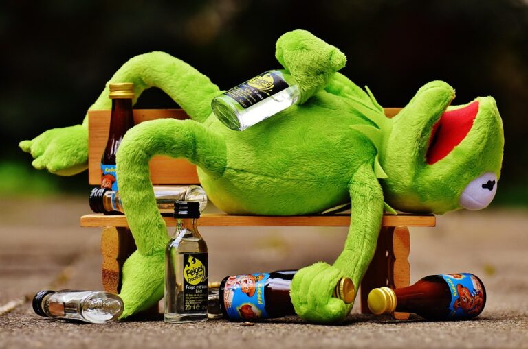 The Evolution of Stuffed Animals: From Vintage Classics to Modern Companions
