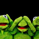 Understanding the Common Types of Plush Toys: A Comprehensive Guide for Collectors and Parents