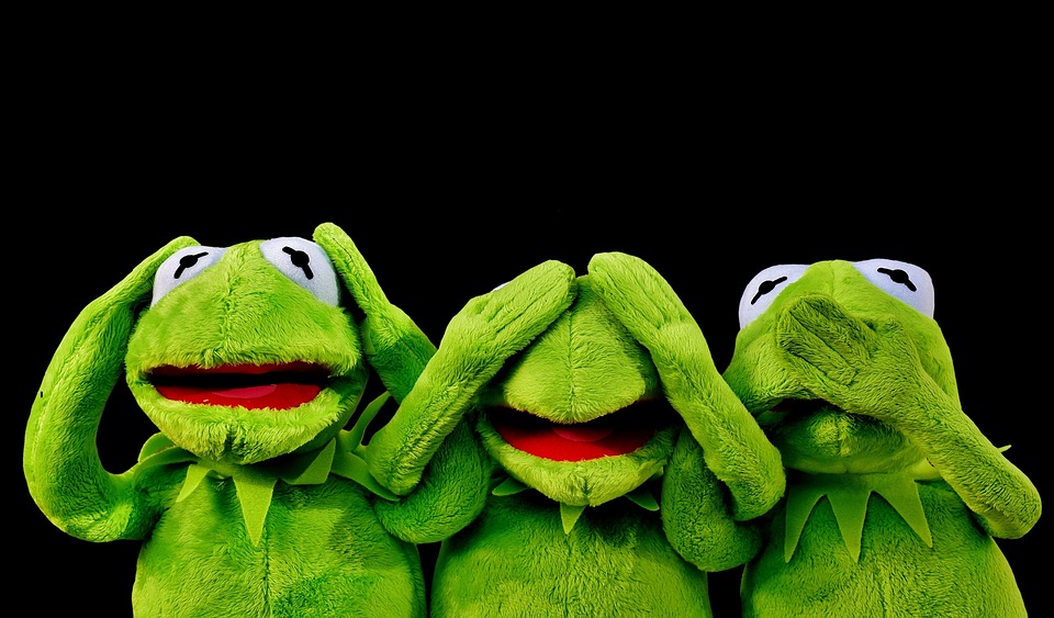 Understanding the Common Types of Plush Toys: A Comprehensive Guide for Collectors and Parents