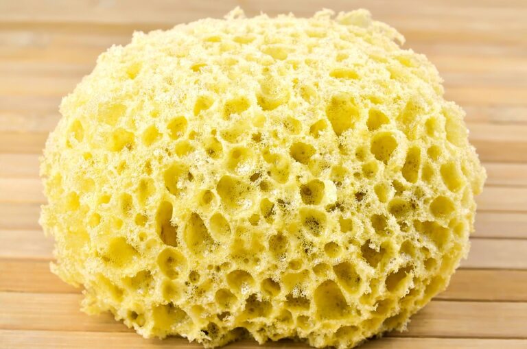 Essential Buying Tips for Choosing the Best Cleaning Sponges: A Comprehensive Guide