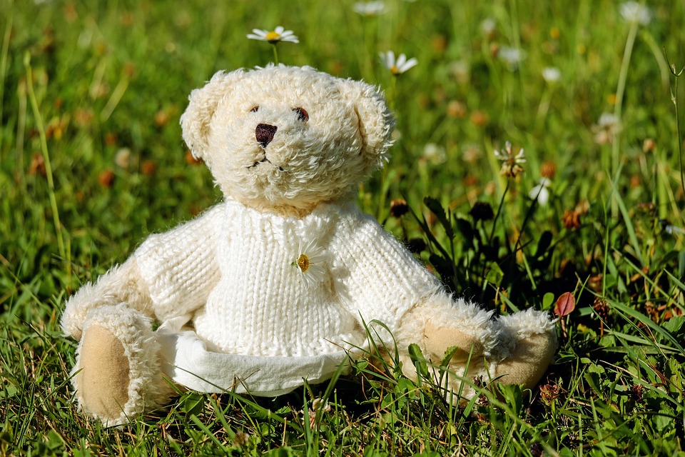 Exploring the Evolution of Plush Toys: A Look at Their Rich History and Enduring Popularity