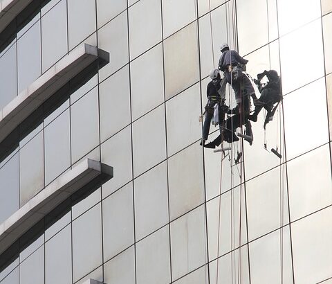 Essential Buying Tips for Choosing the Best Window Cleaners: A Comprehensive Guide