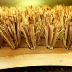 Exploring the Versatile Uses of Scrub Brushes: A Comprehensive Guide