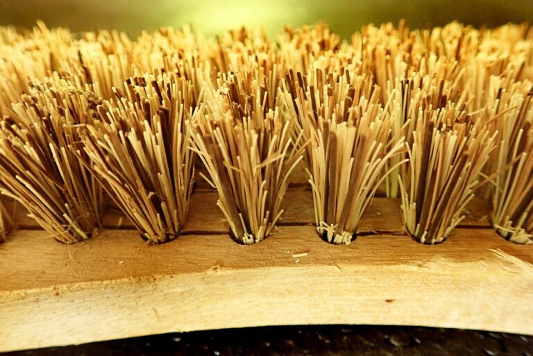Exploring the Versatile Uses of Scrub Brushes: A Comprehensive Guide
