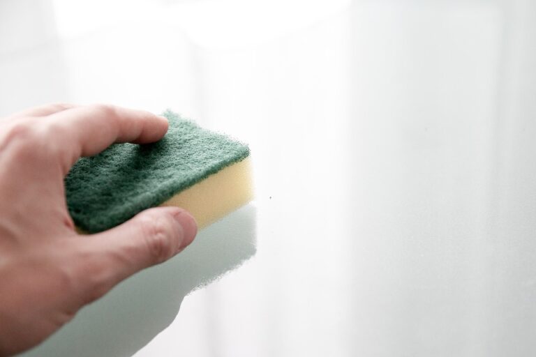 The Ultimate Guide to Choosing the Right Cleaning Sponge: Types, Brands, and Tips for Optimal Use