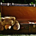Exploring the Evolution of Stuffed Animals: A Historical Perspective on Beloved Plush Toys