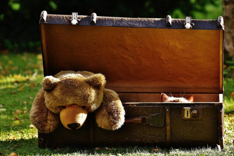 Exploring the Evolution of Stuffed Animals: A Historical Perspective on Beloved Plush Toys