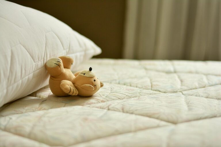 Exploring the Evolution of Teddy Bears: A Journey Through History and Iconic Brands