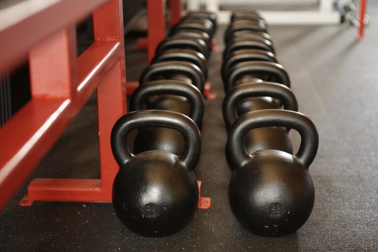Choosing the Right Weight Plates: A Comprehensive Guide to Types, Brands, and Buying Tips